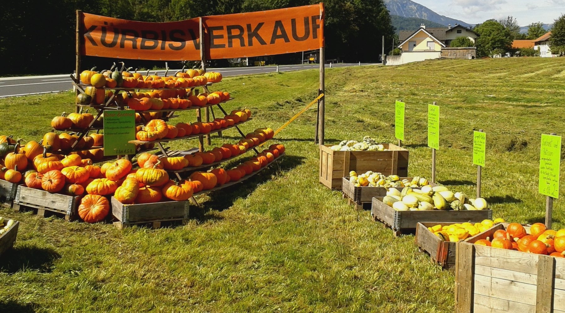 Kürbisverkauf am Stödingerhof